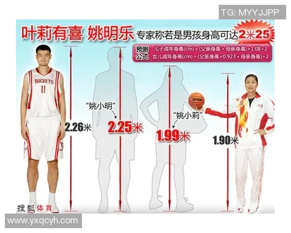 姚明身高揭秘及其精彩瞬间图片展示