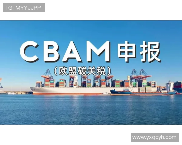 欧盟CBAM碳边境税将对进口商品征税,面临国际反对 欧盟CBAM碳边境税将对进口商品征税,面临国际反对