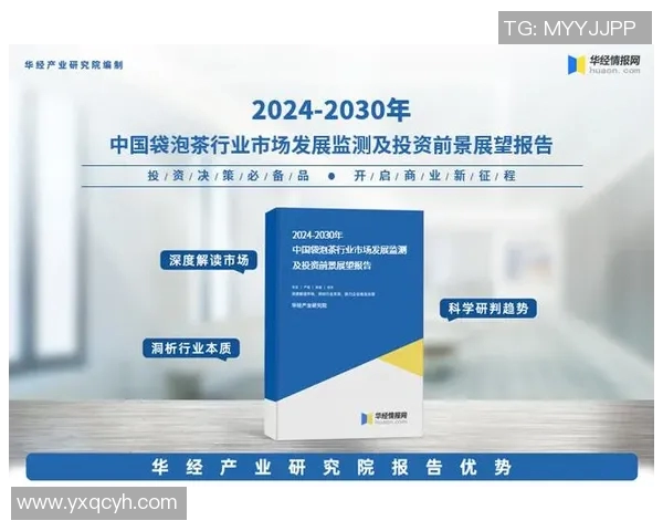西安网球队的阵地战策略与发展现状深度分析 西安网球队的阵地战策略与发展现状深度分析